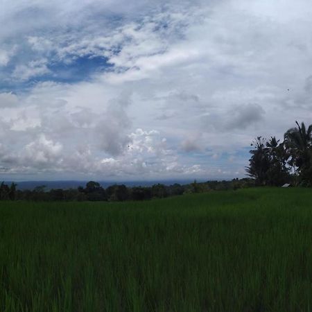 Tegal Jero Homestay Jatiluwih Exterior photo