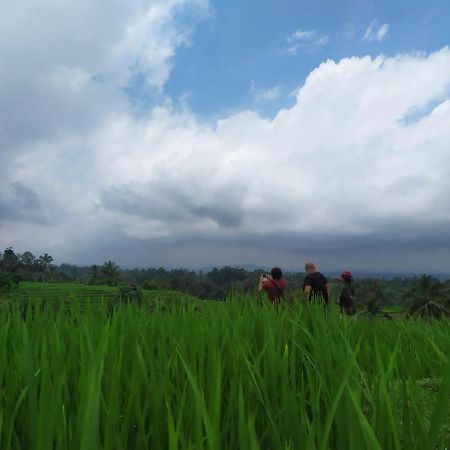 Tegal Jero Homestay Jatiluwih Exterior photo