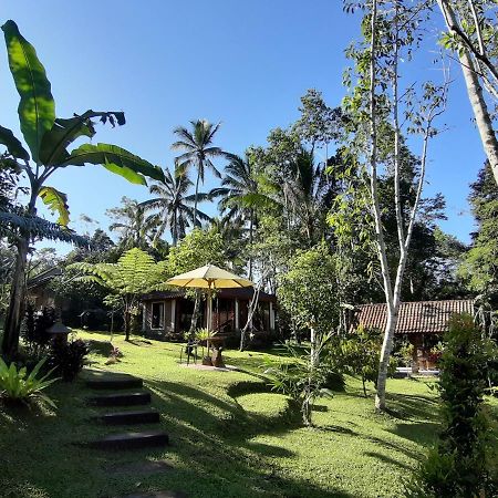 Tegal Jero Homestay Jatiluwih Exterior photo