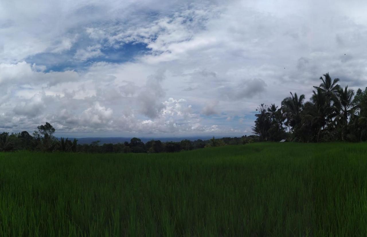 Tegal Jero Homestay Jatiluwih Exterior photo