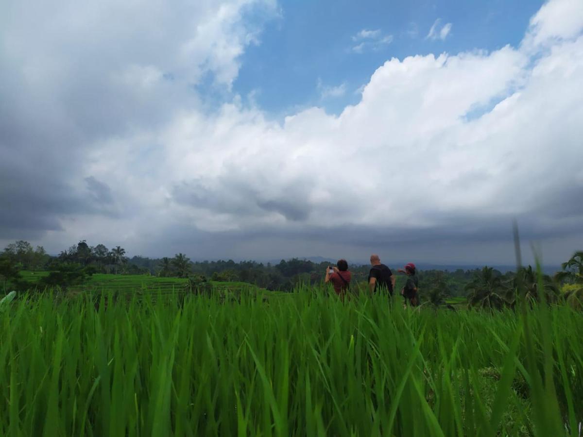 Tegal Jero Homestay Jatiluwih Exterior photo