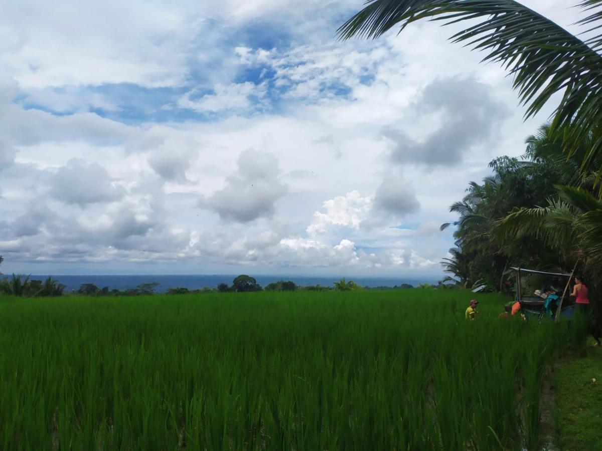 Tegal Jero Homestay Jatiluwih Exterior photo