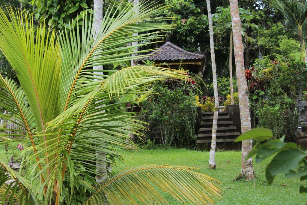 Tegal Jero Homestay Jatiluwih Exterior photo