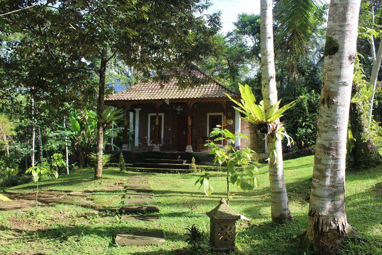 Tegal Jero Homestay Jatiluwih Exterior photo