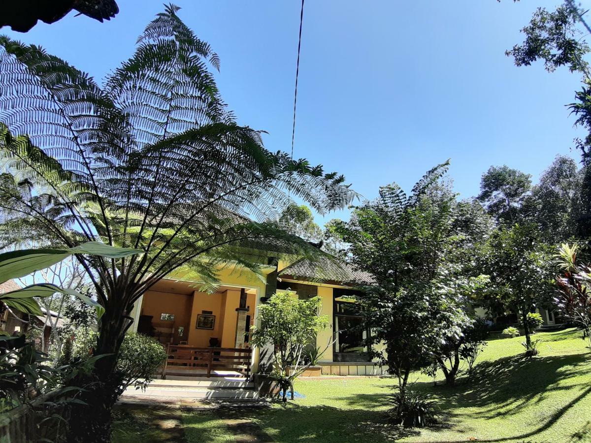 Tegal Jero Homestay Jatiluwih Exterior photo
