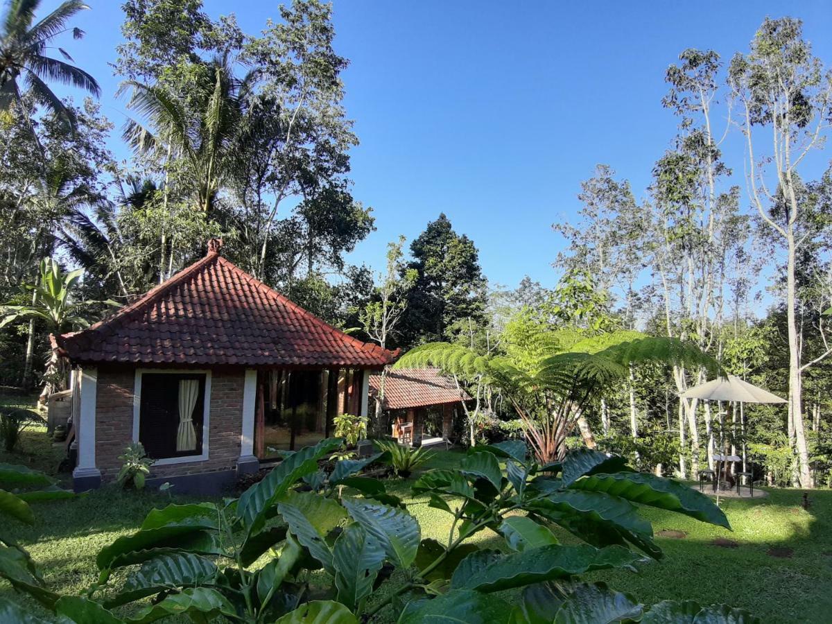 Tegal Jero Homestay Jatiluwih Exterior photo